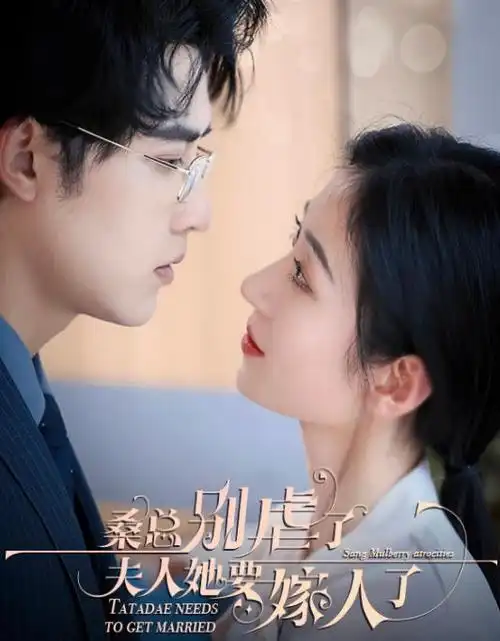 长夜灯热播电视剧全集在线观看